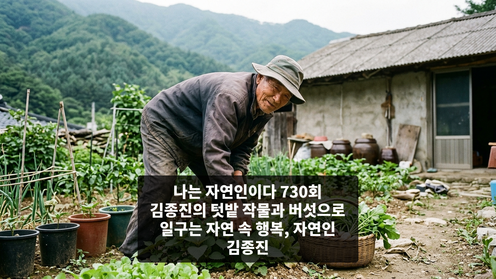 나는 자연인이다 730회 김종진의 텃밭 작물과 버섯으로 일구는 자연 속 행복, 자연인 김종진